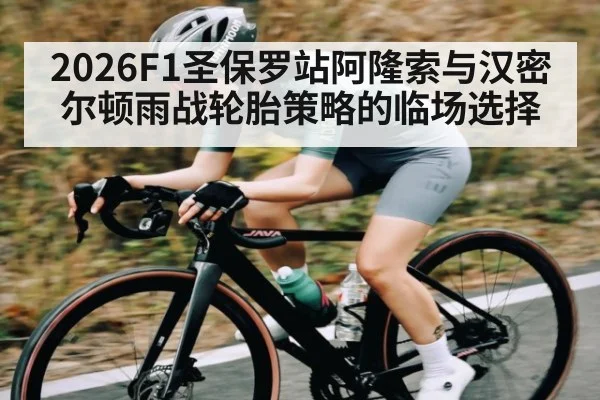 2026F1圣保罗站阿隆索与汉密尔顿雨战轮胎策略的临场选择